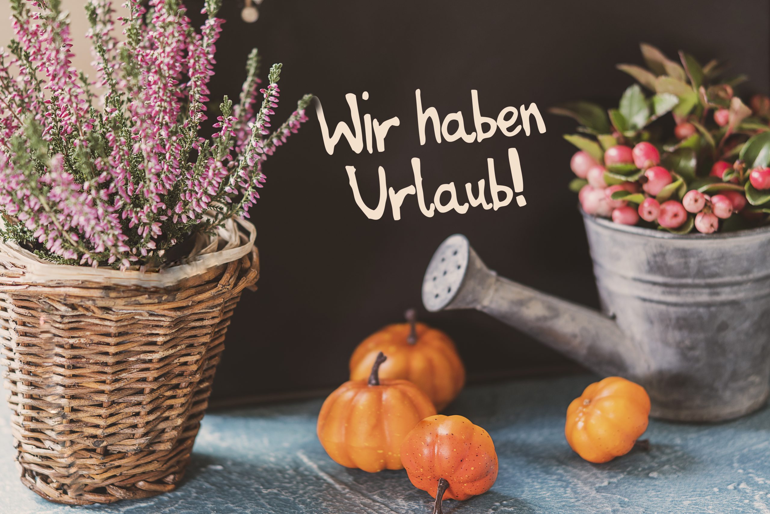 Betriebsurlaub vom 6. bis inklusive 22.10.2025.